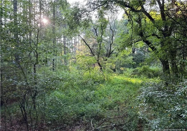 Photo 2 of Land for sale at Christian Chapel Church Rd, Lillington, NC 27562 | MLS# 755104 | Listing updated on 2026-07-18