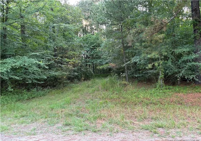 Photo 3 of Land for sale at Christian Chapel Church Rd, Lillington, NC 27562 | MLS# 755104 | Listing updated on 2026-07-18