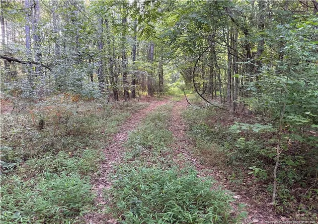 Photo 4 of Land for sale at Christian Chapel Church Rd, Lillington, NC 27562 | MLS# 755104 | Listing updated on 2026-07-18