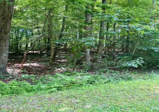 Photo 4 of Land for sale at 100-106 Cherokee Dr, Louisburg, NC 27549 | MLS# 10139040 | Listing updated on 2026-07-18