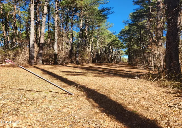 Photo 2 of Land for sale at 174 Solomon Worley Dr, Moncure, NC 27559 | MLS# 10145210 | Listing updated on 2026-07-18