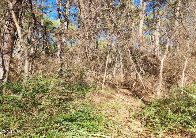 Photo 3 of Land for sale at 174 Solomon Worley Dr, Moncure, NC 27559 | MLS# 10145210 | Listing updated on 2026-07-18