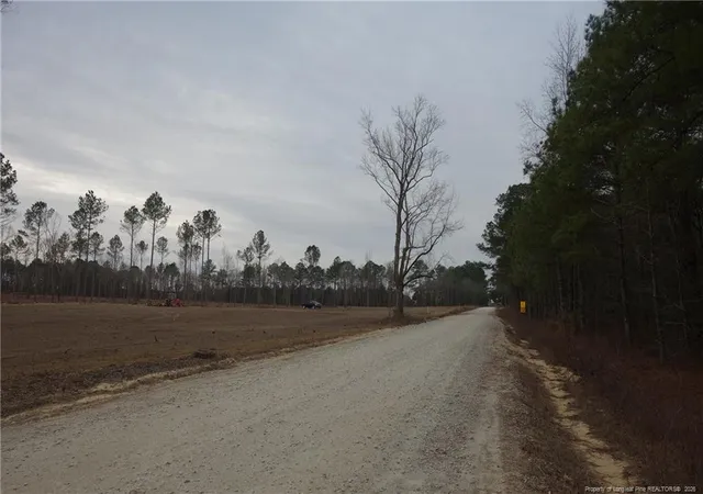 Photo 4 of Land for sale at Lot 9 Sand Rock Rd, Fairmont, NC 28340 | MLS# 755264 | Listing updated on 2026-08-19