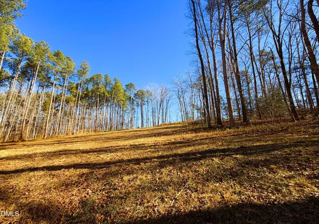 Photo 3 of Land for sale at 318 Jones Fry Rd, Pittsboro, NC 27312 | MLS# 10139392 | Listing updated on 2026-07-18