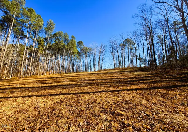 Photo 4 of Land for sale at 318 Jones Fry Rd, Pittsboro, NC 27312 | MLS# 10139392 | Listing updated on 2026-07-18