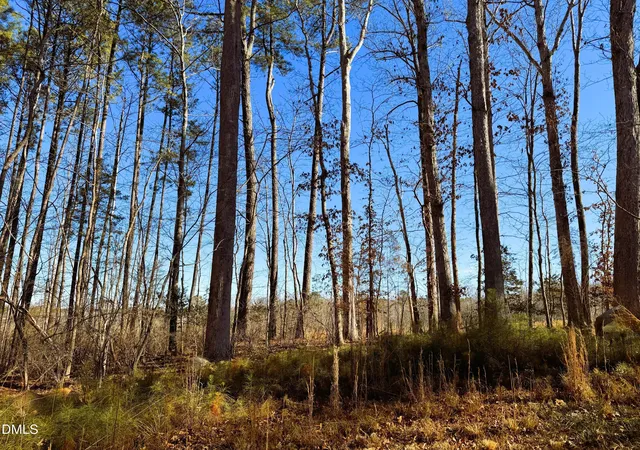 Photo 5 of Land for sale at 318 Jones Fry Rd, Pittsboro, NC 27312 | MLS# 10139392 | Listing updated on 2026-07-18