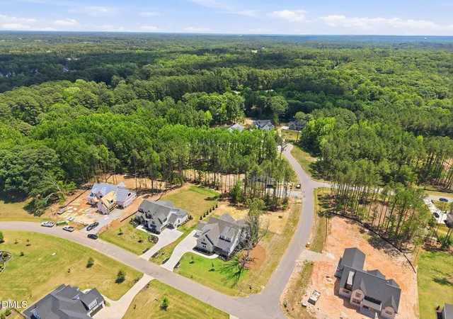 Homes for sale in Wake Forest, NC | 1232 Perry Bluff Dr, Wake Forest, NC 27587 | MLS# 10139531