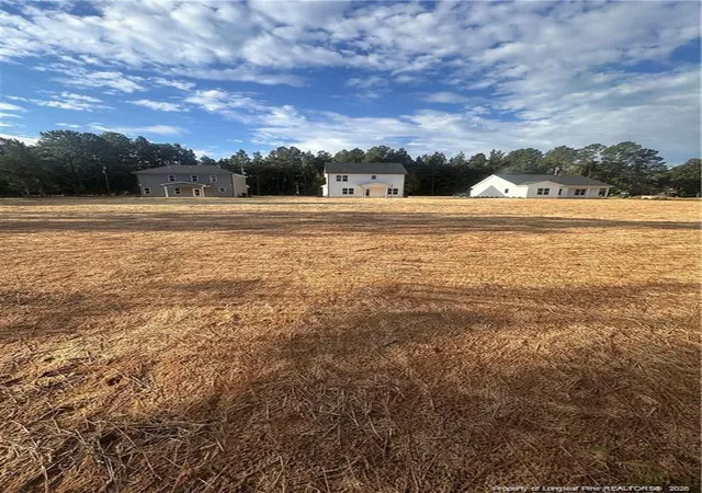 4th image of 151 Merle Rd, Pinebluff, NC 28373 | MLS# 755346