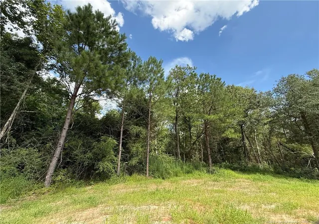 Photo 16 of Sale Pending at 263 Strother Rd, Aberdeen, NC 28315 | MLS# 755803 | Listing updated on 2026-08-13