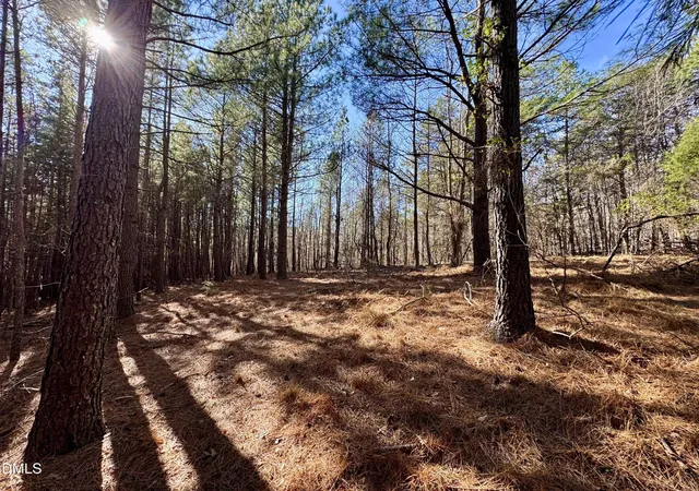 Photo 2 of Land for sale at 11901 Nc Hwy 86 S, Prospect Hill, NC 27314 | MLS# 10142777 | Listing updated on 2026-07-31