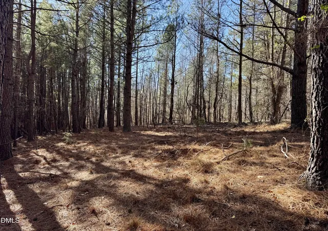 Photo 3 of Land for sale at 11901 Nc Hwy 86 S, Prospect Hill, NC 27314 | MLS# 10142777 | Listing updated on 2026-07-31
