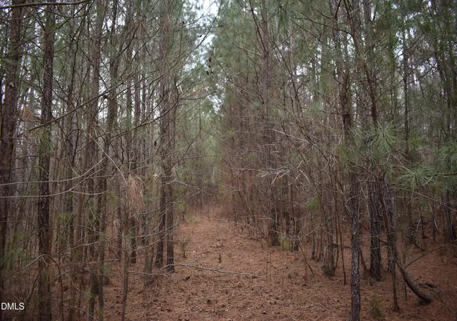 Photo 1 of Land for sale at 257 Piney Grv Church Rd, Siler City, NC 27344 | MLS# 10143196 | Listing updated on 2026-07-18