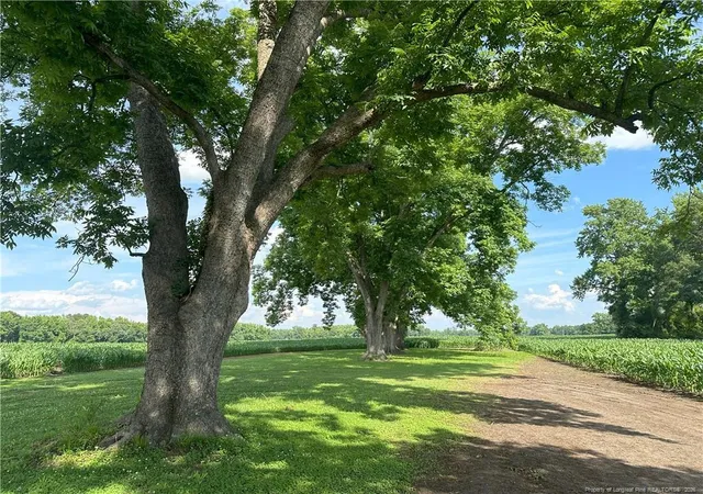 1st image of Lot A Pleasant Hope Rd, Lumberton, NC 28340 | MLS# 756087