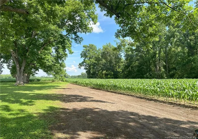 4th image of Lot A Pleasant Hope Rd, Lumberton, NC 28340 | MLS# 756087