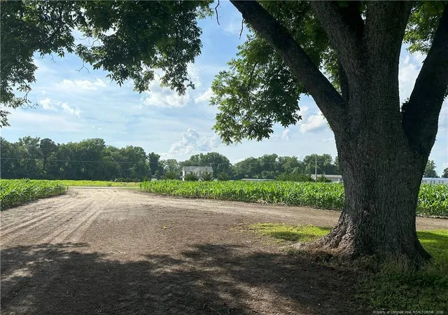 5th image of Lot A Pleasant Hope Rd, Lumberton, NC 28340 | MLS# 756087