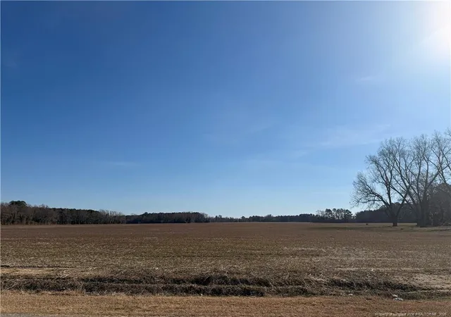 Photo 1 of Land at Lot C Pleasant Hope Rd, Lumberton, NC 28360 | MLS# 756096 | | Sold on 2026-04-30