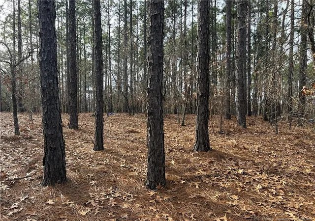Photo 3 of Land at 350 Lakeview Ln, Cameron, NC 28326 | MLS# 756100 |  | Sold on 2026-05-19