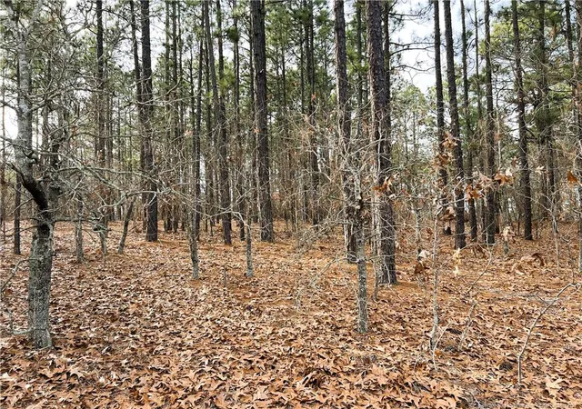 Photo 4 of Land at 350 Lakeview Ln, Cameron, NC 28326 | MLS# 756100 |  | Sold on 2026-05-19