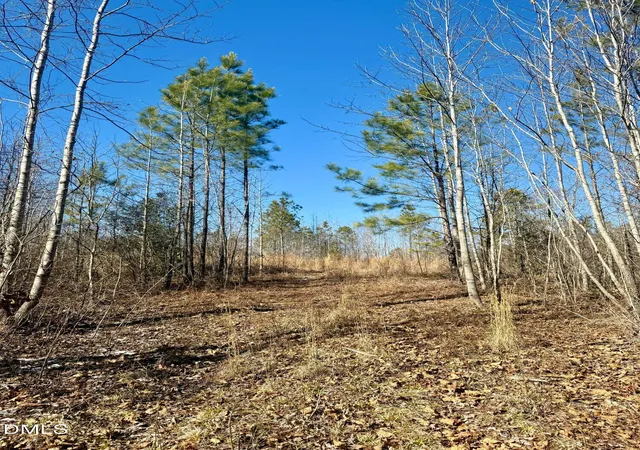 Photo 3 of Sale Pending at 0 Warren Woods St, Warrenton, NC 27589 | MLS# 10142215 | Listing updated on 2026-09-10