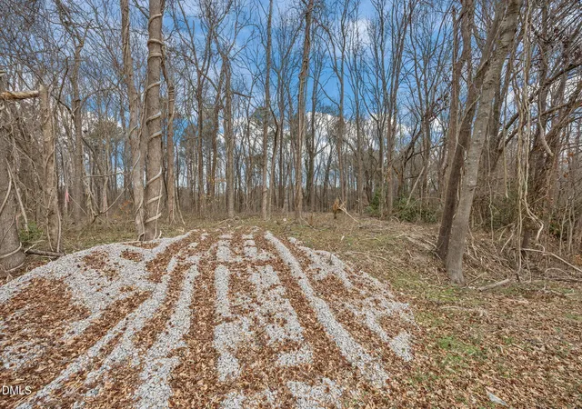 Homes for sale in Kittrell, NC | 0 W Chavis Rd, Kittrell, NC 27544 | MLS# 10142957