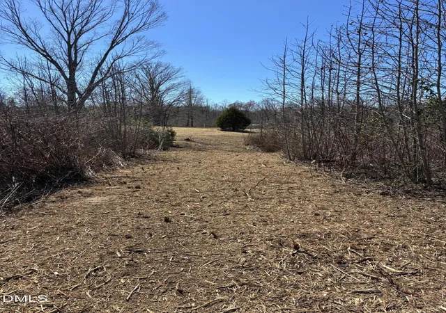 Photo 4 of Unimproved Land at 005 Keeton Rd, Bullock, NC 27507 | MLS# 10142963 | | Sold on 2026-06-30