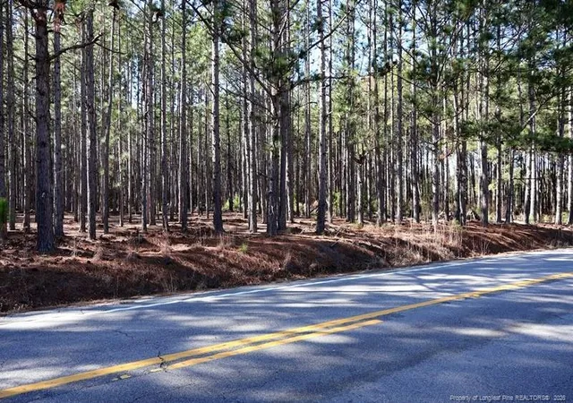 Photo 2 of Land for sale at Nc Hwy 130, Fairmont, NC 28340 | MLS# 756427 | Listing updated on 2026-08-23