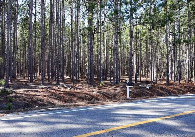 Photo 4 of Land for sale at Nc Hwy 130, Fairmont, NC 28340 | MLS# 756427 | Listing updated on 2026-08-23