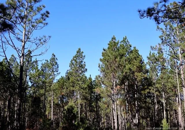 Photo 4 of Sale Pending at Nc Hwy 130, Fairmont, NC 28340 | MLS# 756429 | Listing updated on 2026-09-28