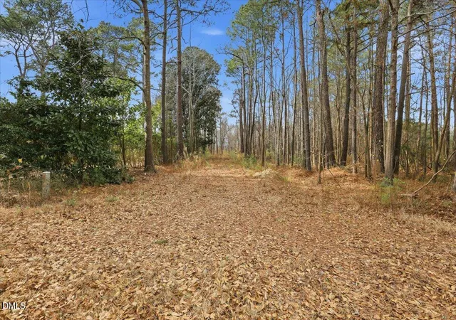 Photo 1 of Land for sale at 00 E Fayetteville St, Micro, NC 27555 | MLS# 10143357 | Listing updated on 2026-10-02