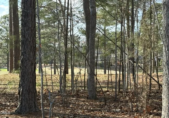 Photo 3 of Single family home for sale at 490 Chapel Ridge Dr, Pittsboro, NC 27312 | MLS# 10151616 | Listing updated on 2026-07-18