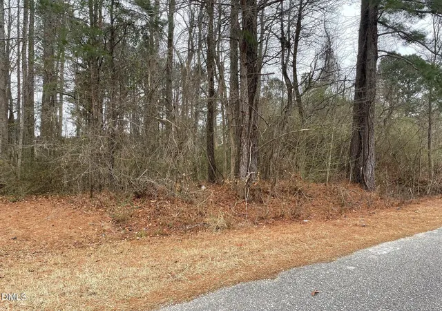 Homes for sale in Bunnlevel, NC | 70 Wilson, Bunnlevel, NC 28323 | MLS# 10143329