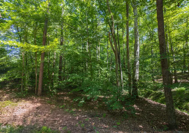 4th image of 4515 Chicopee Trl, Durham, NC 27707 | MLS# 10144124