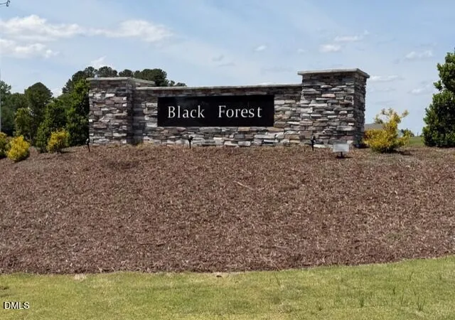 Homes for sale in Benson, NC | 188 Black Forest Pointe Trl #48, Benson, NC 27504 | MLS# 10151345