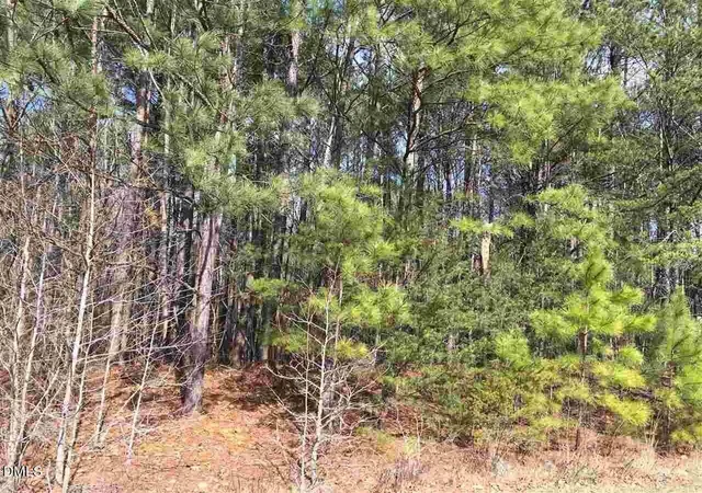 2nd image of 3165 Tump Wilkins Rd, Stem, NC 27581 | MLS# 10143897