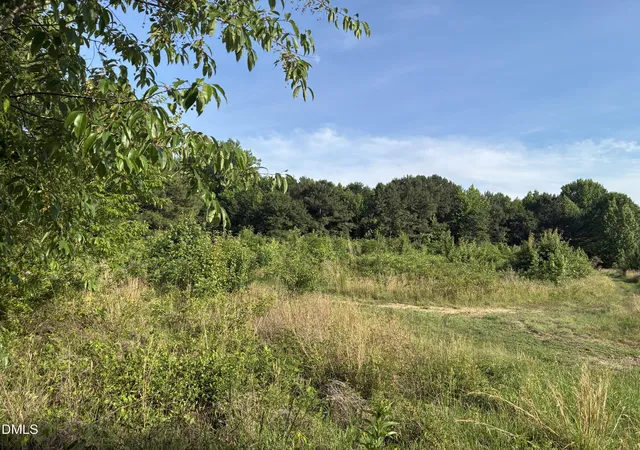 Photo 3 of Land for sale at 0 Cleveland Rd, Garner, NC 27529 | MLS# 10176481 | Listing updated on 2026-07-18