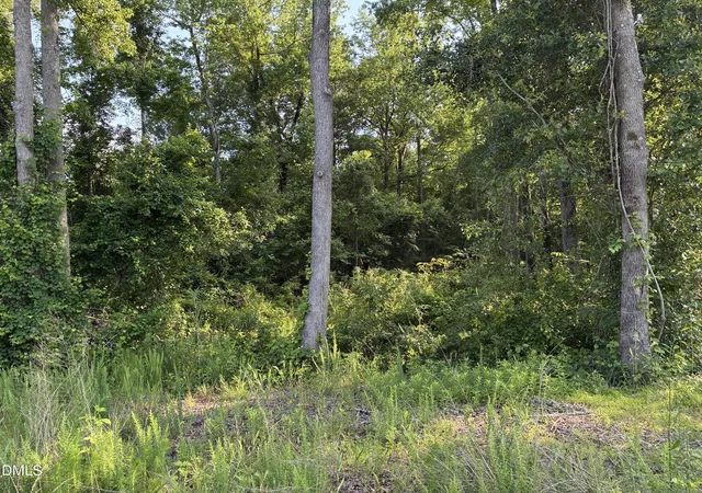 Photo 4 of Land for sale at 0 Cleveland Rd, Garner, NC 27529 | MLS# 10176481 | Listing updated on 2026-07-18
