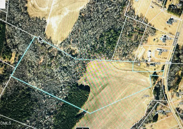 13th image of 0 Bailey Rd, Coats, NC 27521 | MLS# 10144016