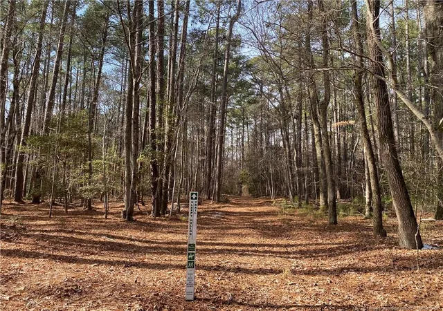 Photo 3 of Land for sale at Breezeway Ln, Carthage, NC 28327 | MLS# 756783 | Listing updated on 2026-08-17