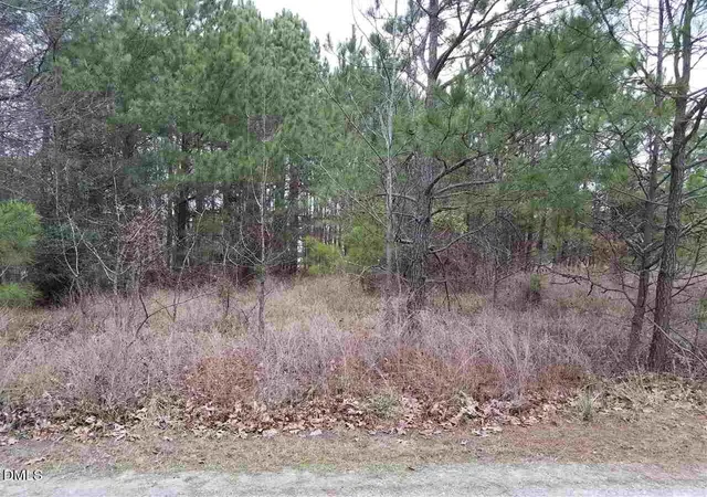 3rd image of 2908 Satori Wy, Apex, NC 27539 | MLS# 10144334