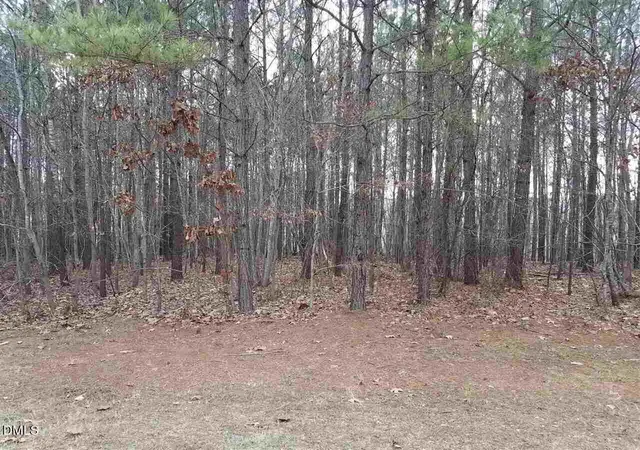 5th image of 2908 Satori Wy, Apex, NC 27539 | MLS# 10144334