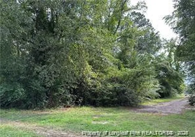 Photo 2 of Land for sale at Peach St, Rowland, NC 28383 | MLS# 756941 | Listing updated on 2026-07-18