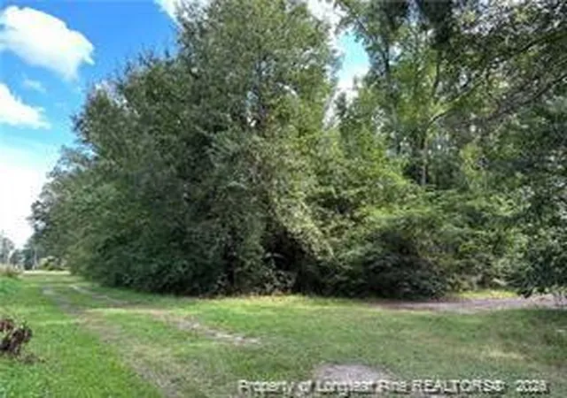 Photo 4 of Land for sale at Peach St, Rowland, NC 28383 | MLS# 756941 | Listing updated on 2026-07-18