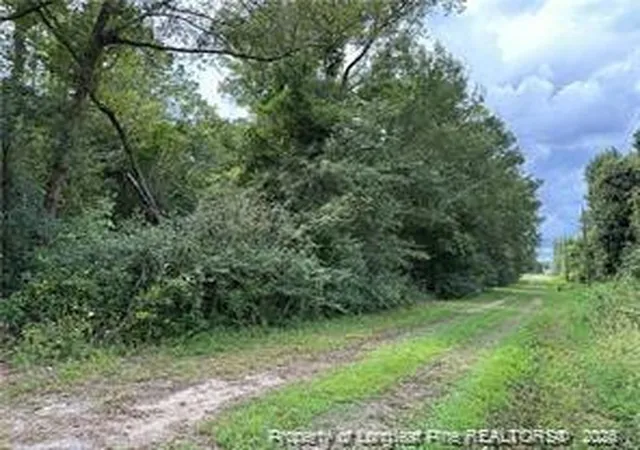 Photo 5 of Land for sale at Peach St, Rowland, NC 28383 | MLS# 756941 | Listing updated on 2026-07-18