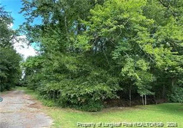 Photo 6 of Land for sale at Peach St, Rowland, NC 28383 | MLS# 756941 | Listing updated on 2026-07-18