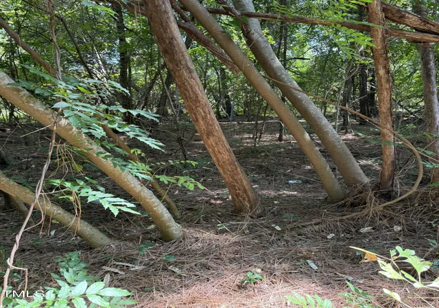 Photo 5 of Land for sale at 105 Micaville Cir, Spring Lake, NC 28390 | MLS# 10144613 | Listing updated on 2026-07-18