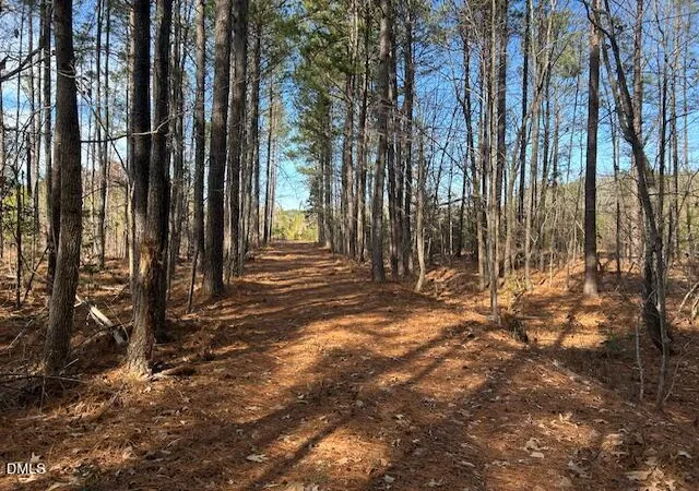 Photo 1 of Unimproved Land at 420 John Headen Rd, Moncure, NC 27559 | MLS# 10145170 | | Sold on 2026-05-19