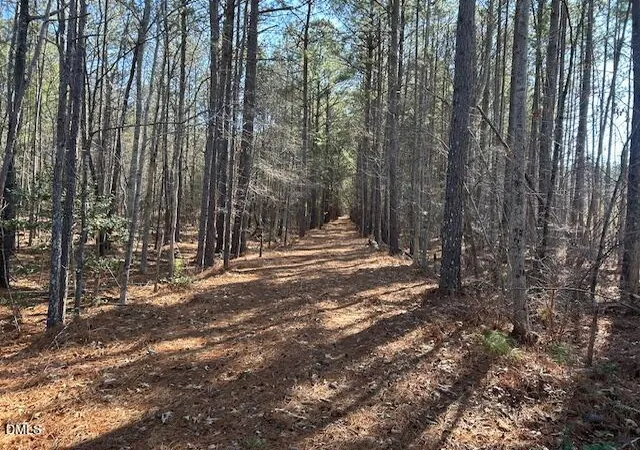 Photo 3 of Unimproved Land at 420 John Headen Rd, Moncure, NC 27559 | MLS# 10145170 | | Sold on 2026-05-19