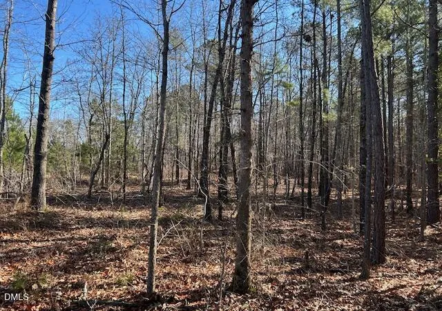 Photo 4 of Unimproved Land at 420 John Headen Rd, Moncure, NC 27559 | MLS# 10145170 | | Sold on 2026-05-19