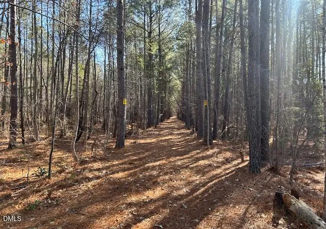 Photo 5 of Unimproved Land at 420 John Headen Rd, Moncure, NC 27559 | MLS# 10145170 | | Sold on 2026-05-19