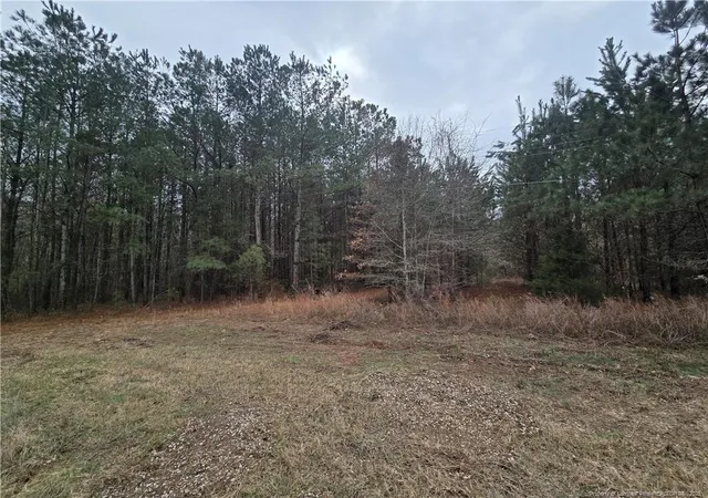 3rd image of 3162 Murphy Rd, Eastover, NC 28312 | MLS# 757041